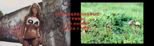 гашик Арсеньев