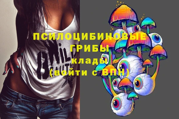 гашик Арсеньев