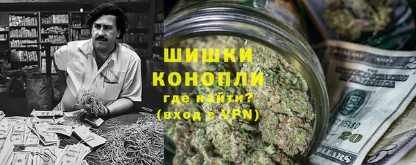 гашик Арсеньев