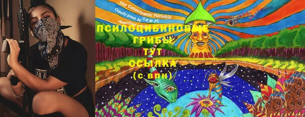 гашик Арсеньев