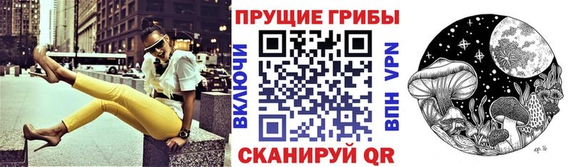 где можно купить наркотик  Кологрив  mega маркетплейс  Галлюциногенные грибы MAGIC MUSHROOMS 